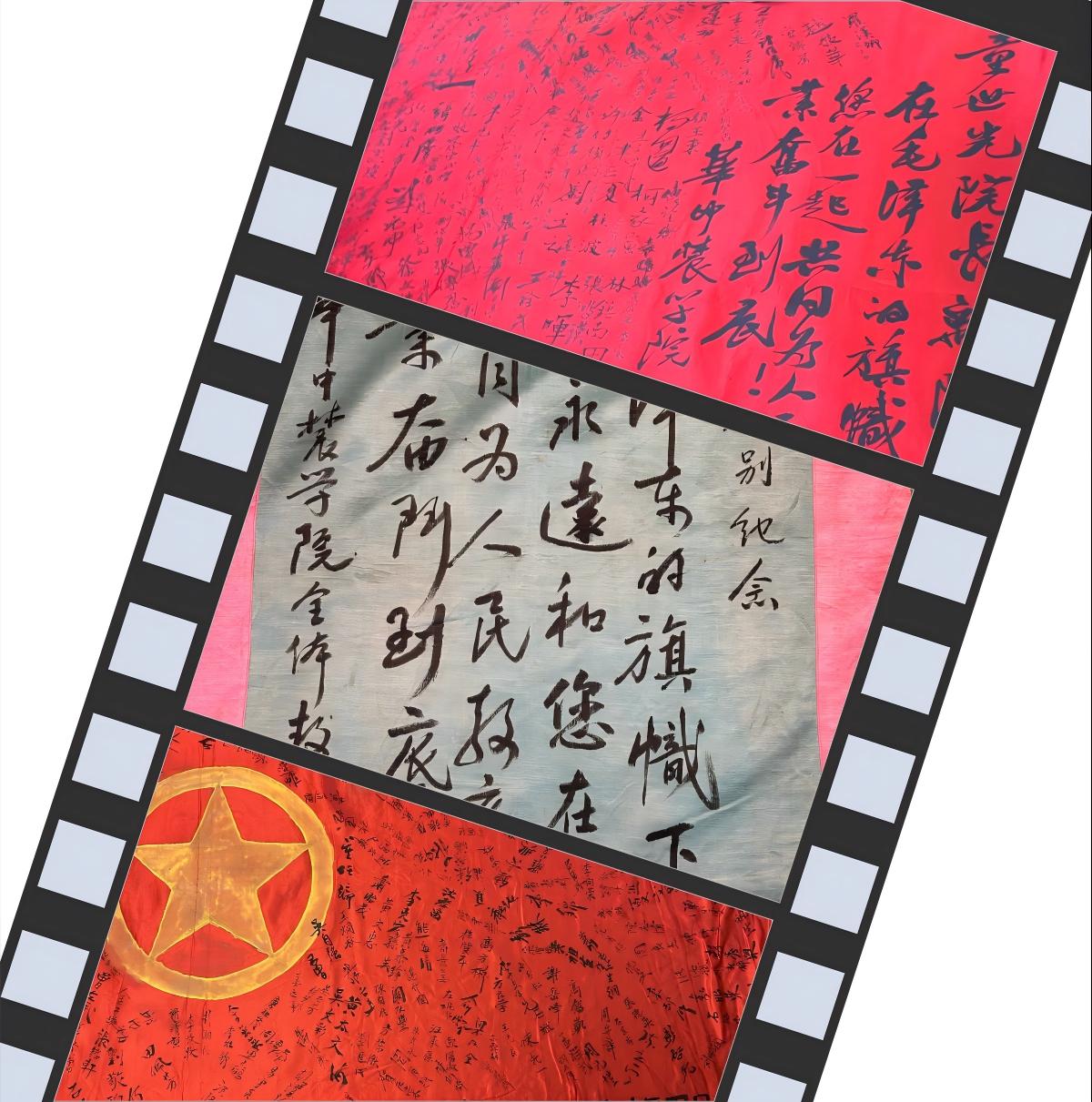 拼图2